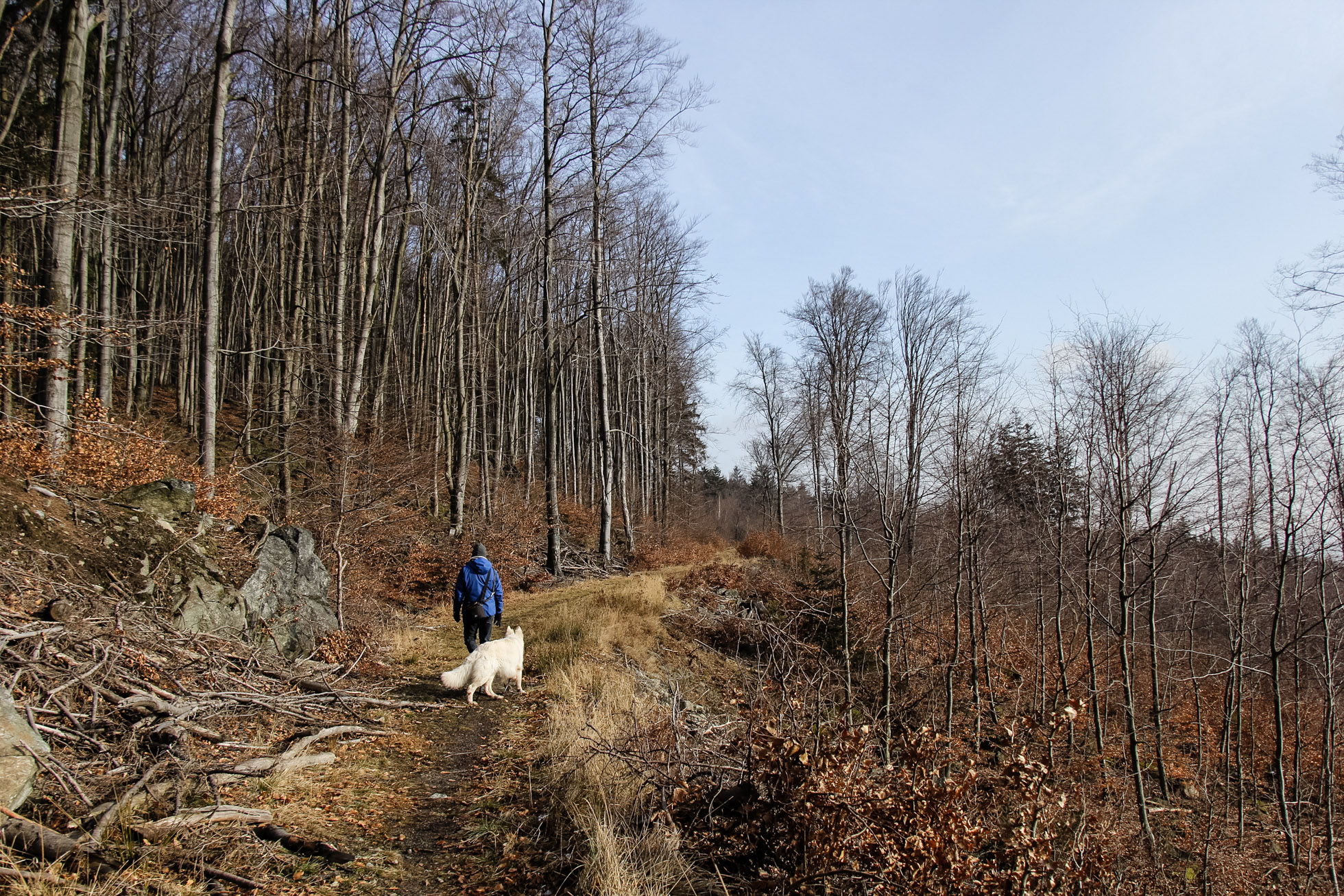 ściężka pod skałami na Ślęży przechodzi w szeroką drogę
