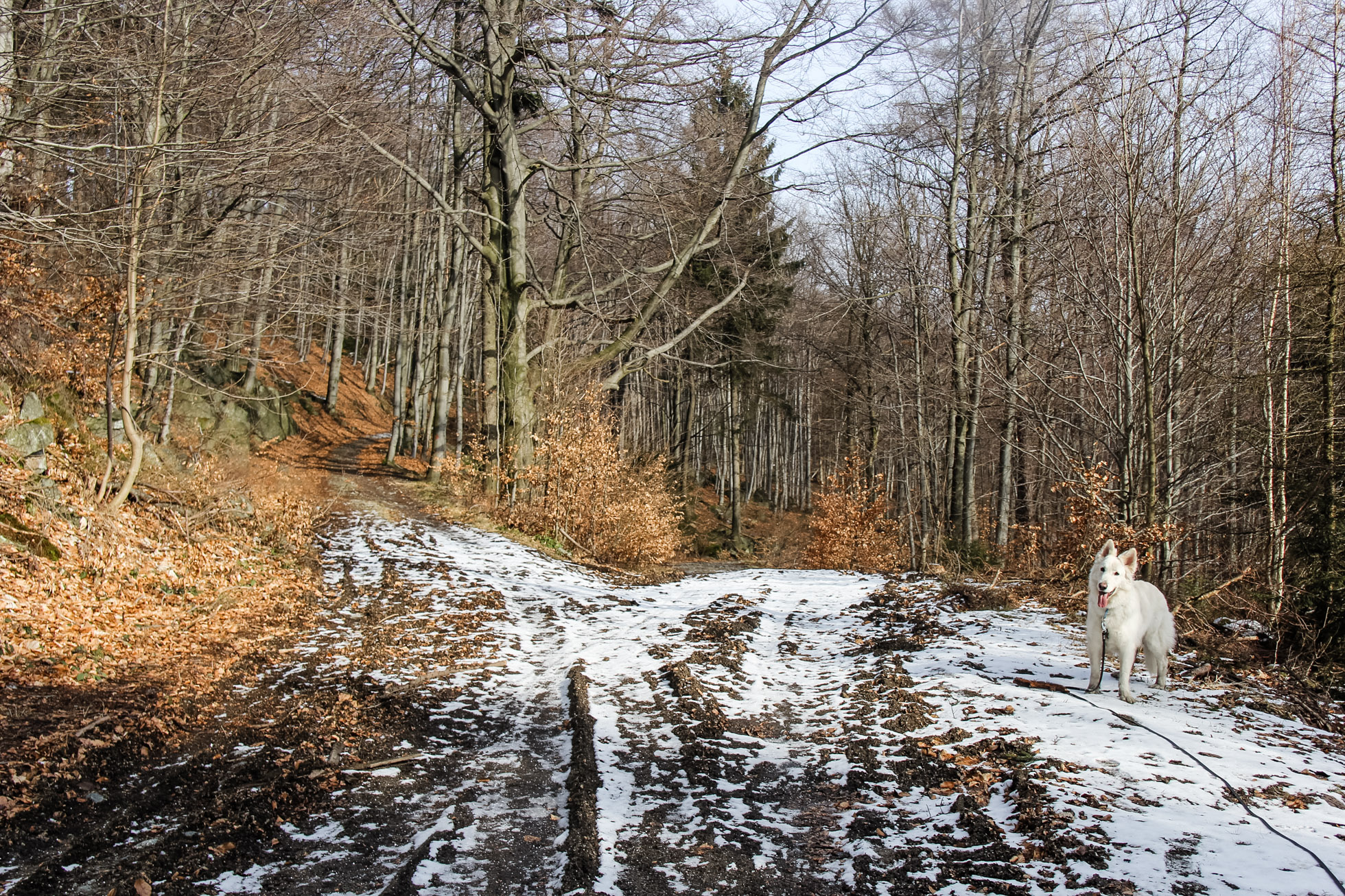 rozdroże na ścieżce pod skałami na górze Ślęża