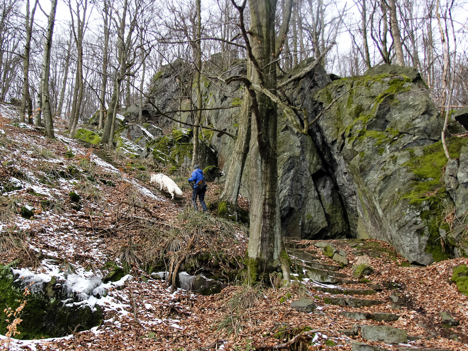 Heban wspina się po schodach na Skały Władysława