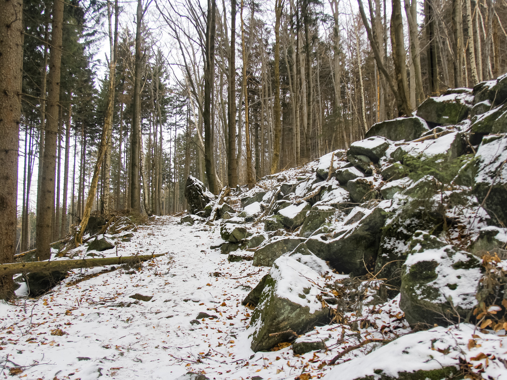 Ścieżka pod skałkami, czyli Ślęża inaczej (część 2.)