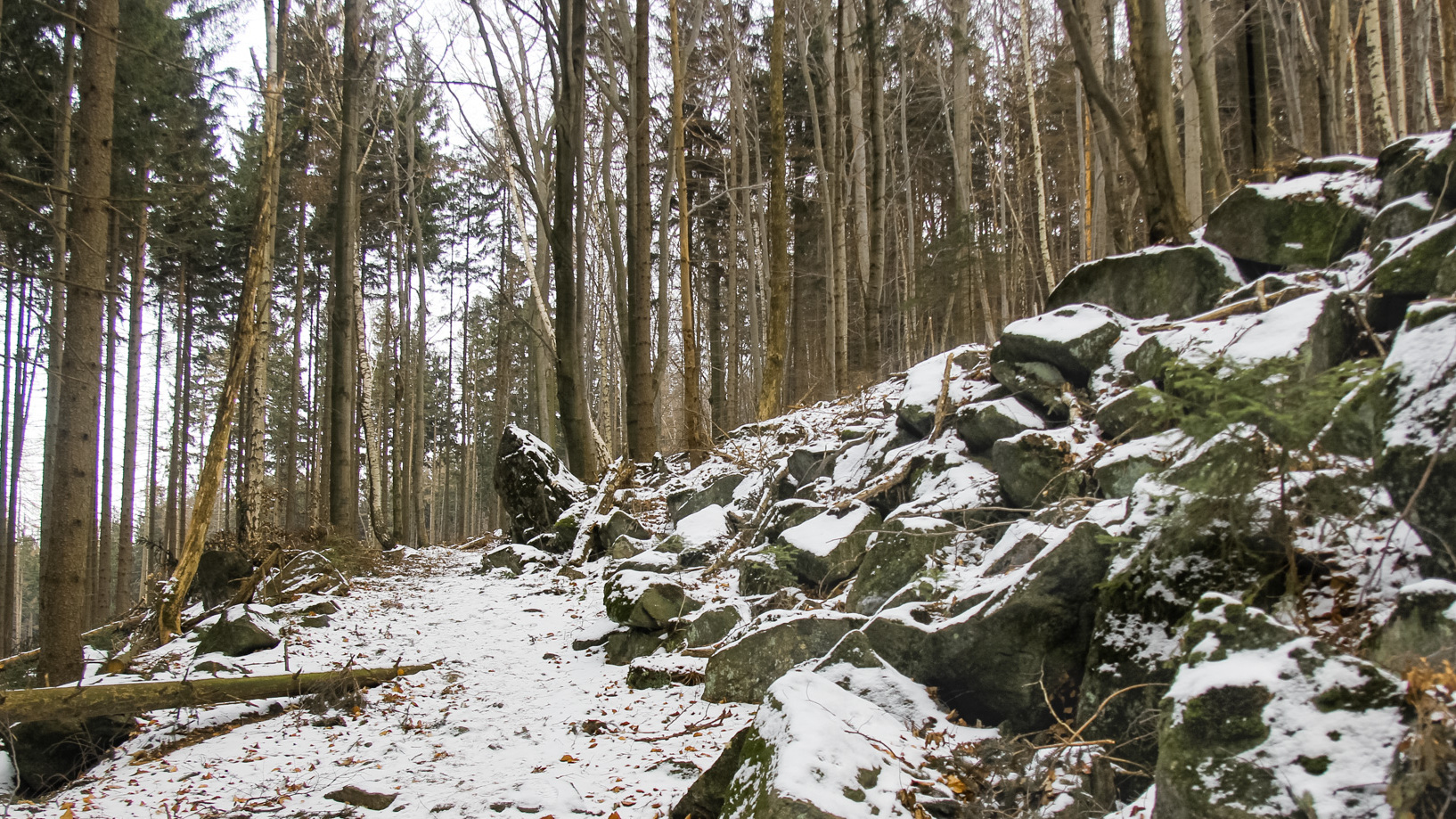 Ścieżka pod skałkami, czyli Ślęża inaczej (część 2.)