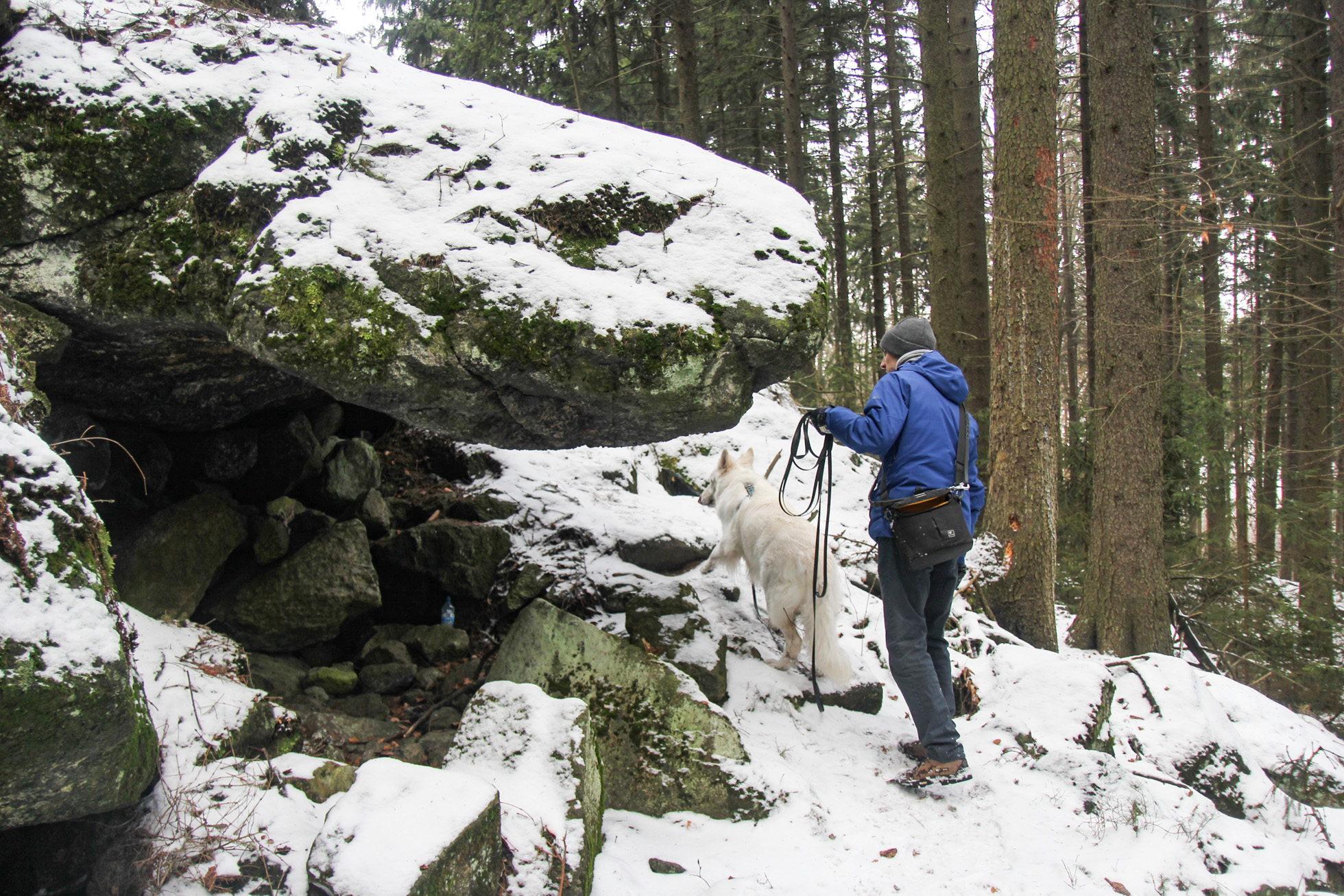 ścieżka pod skałami - trudny fragment trasy dla psa