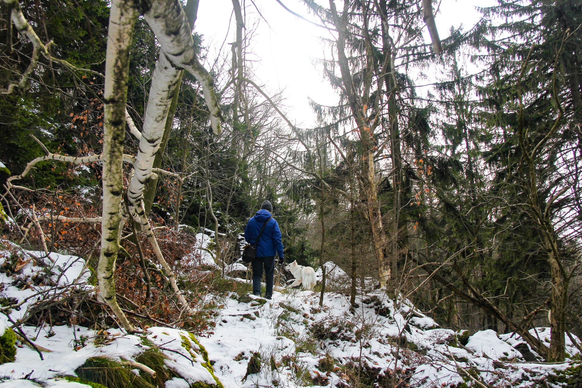 ścieżka pod skałkami na Ślęży prowadzi przez kamienie i drzewa