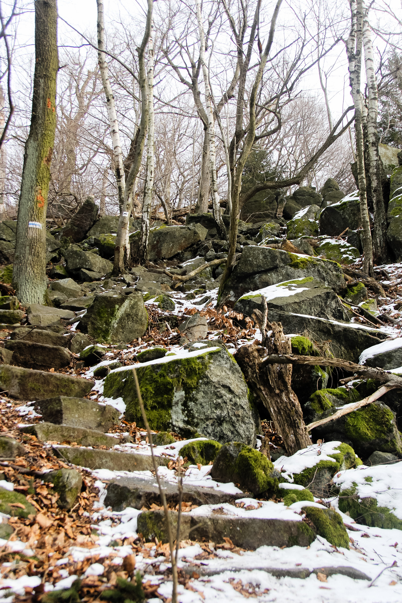 Olbrzymki na Ślęży i wykute w nich kamienne schody