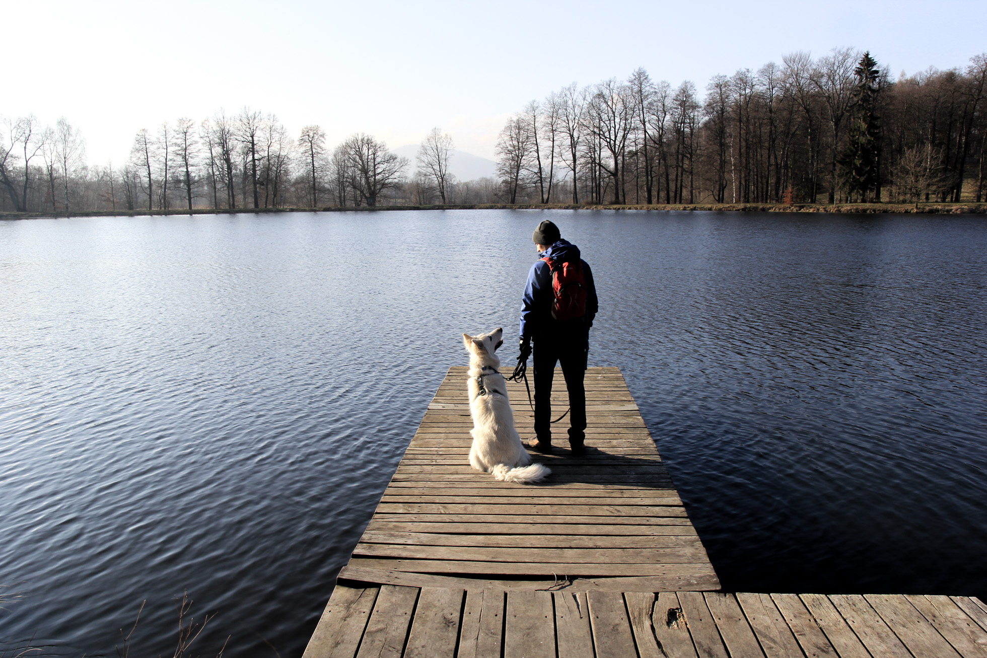 park w Bukowcu - pomost na stawie