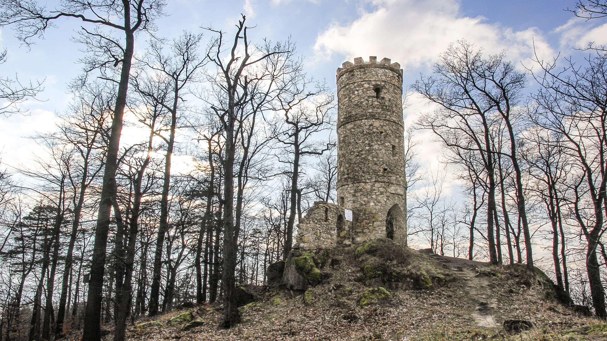 Dlaczego warto przyjechać
do parku w Bukowcu?
