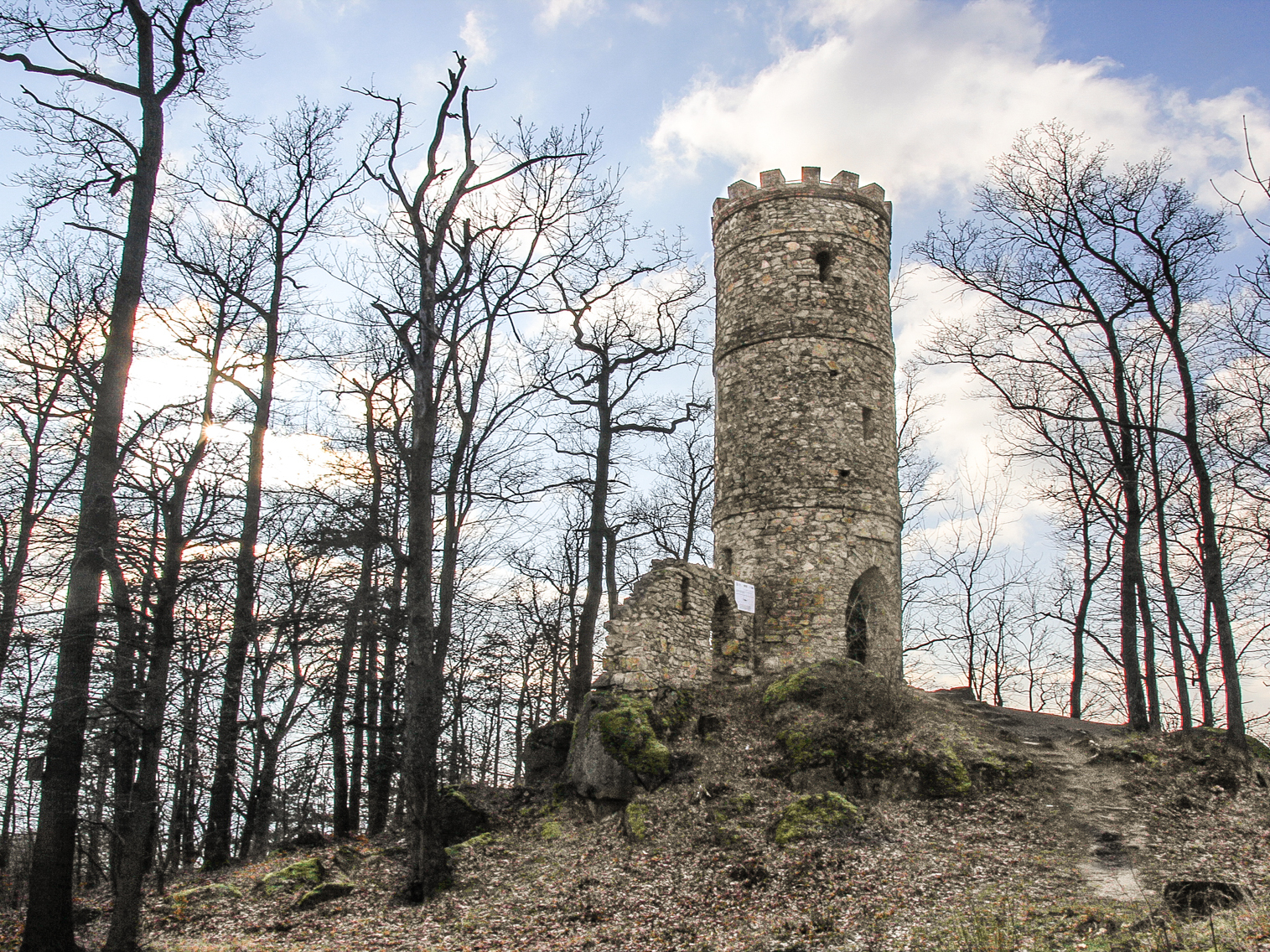 Dlaczego warto przyjechać
do parku w Bukowcu?
