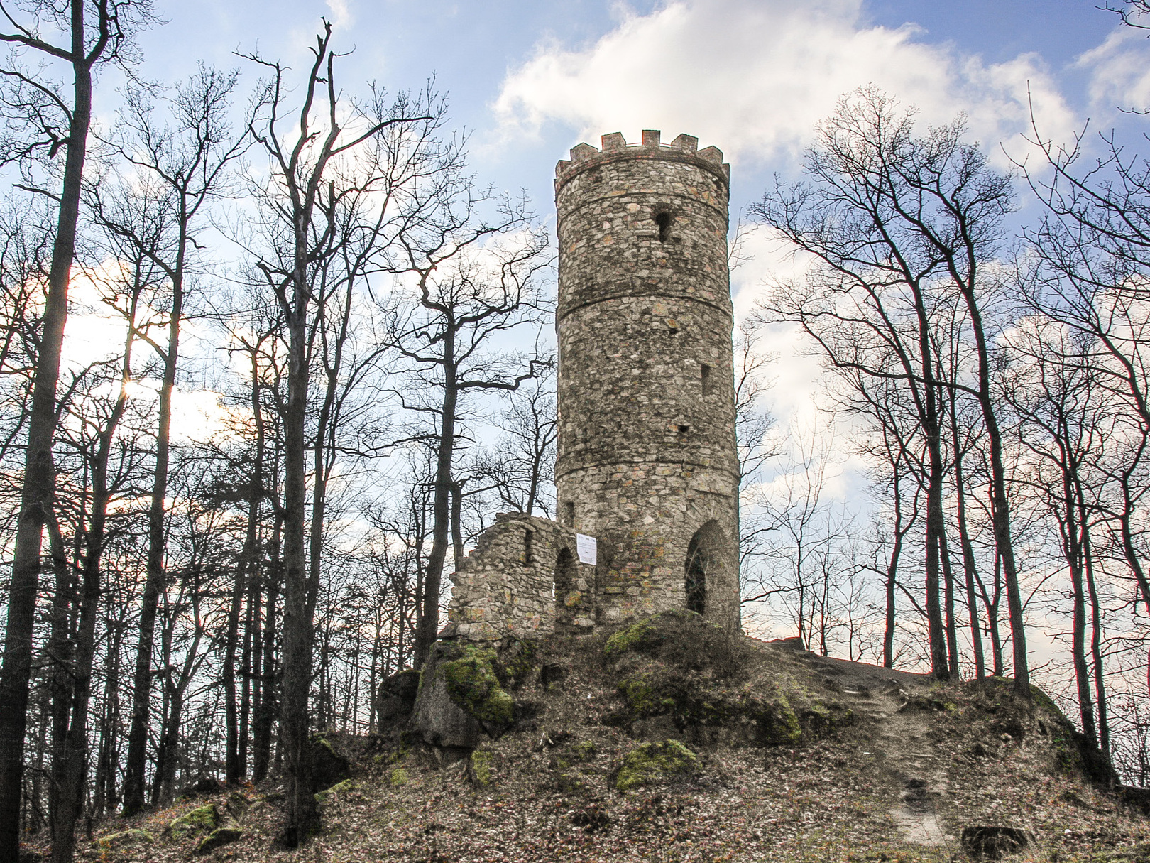 park w Bukowcu - wieża