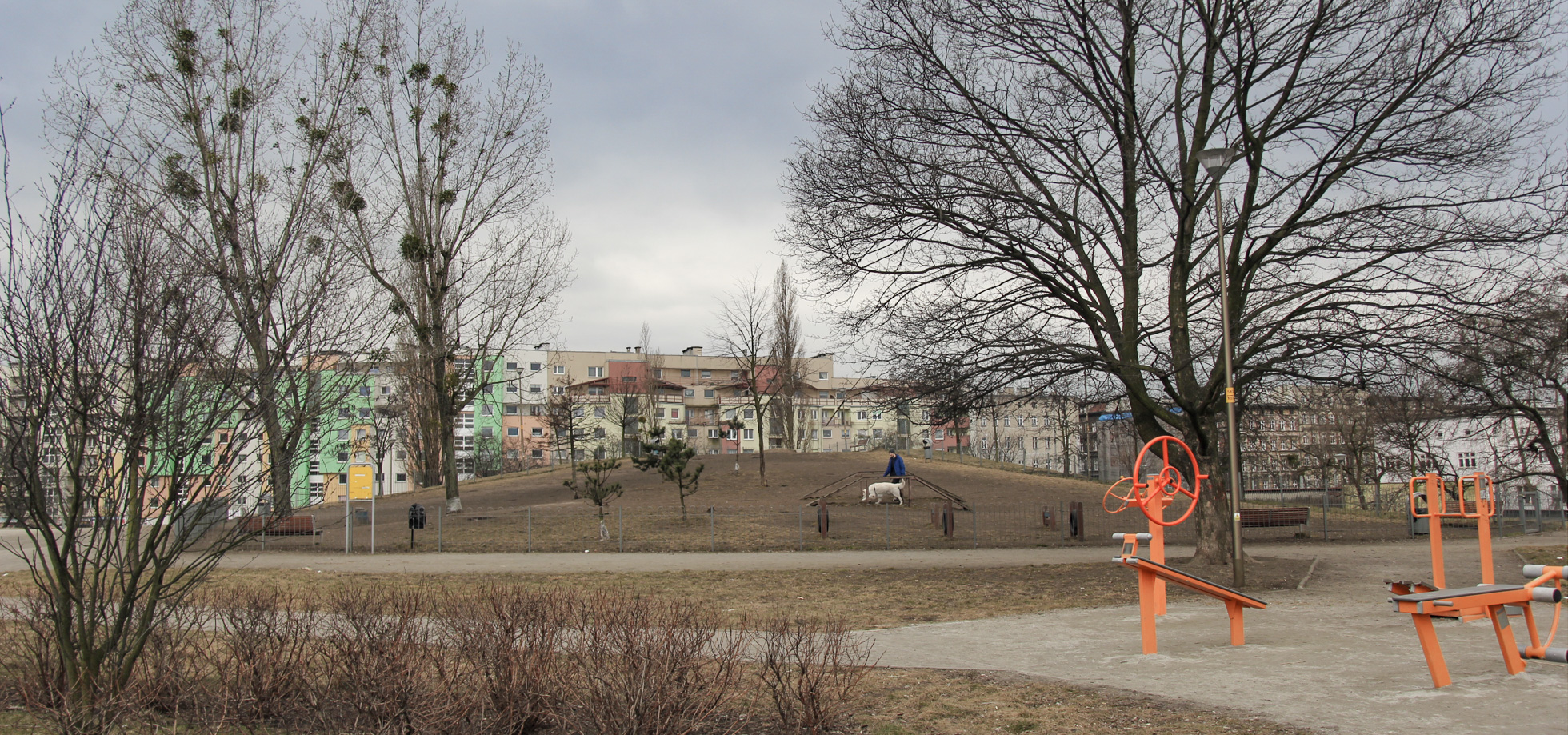 widok na wybieg dla psów na Wzgórzu Słowiańskim we Wrocławiu