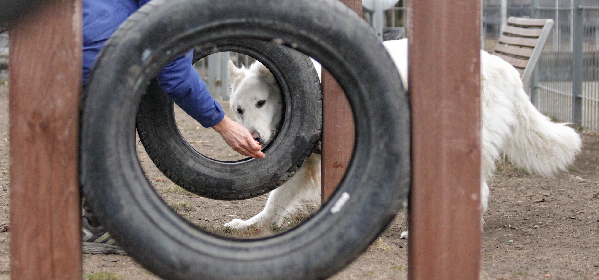 Wybieg dla psów Wzgórze Słowiańskie - opony
