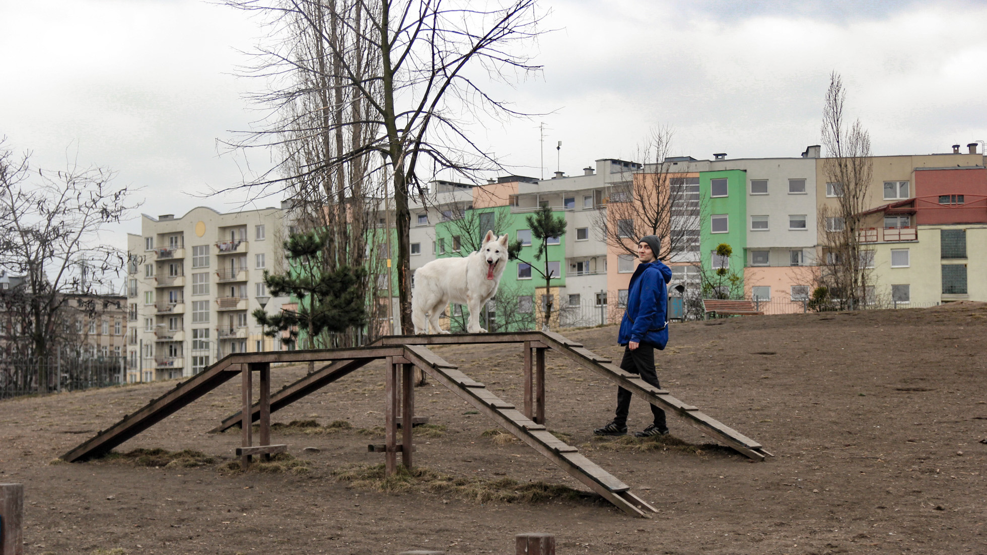 Park dla psów na Górce Słowiańskiej