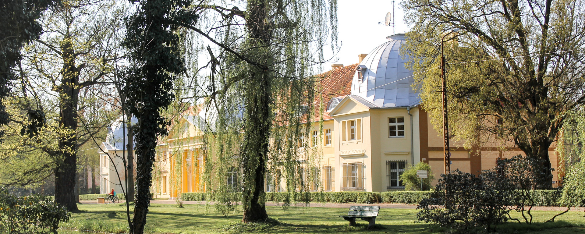 Park przypałacowy w Miliczu z psem - dlaczego warto tu zajrzeć?