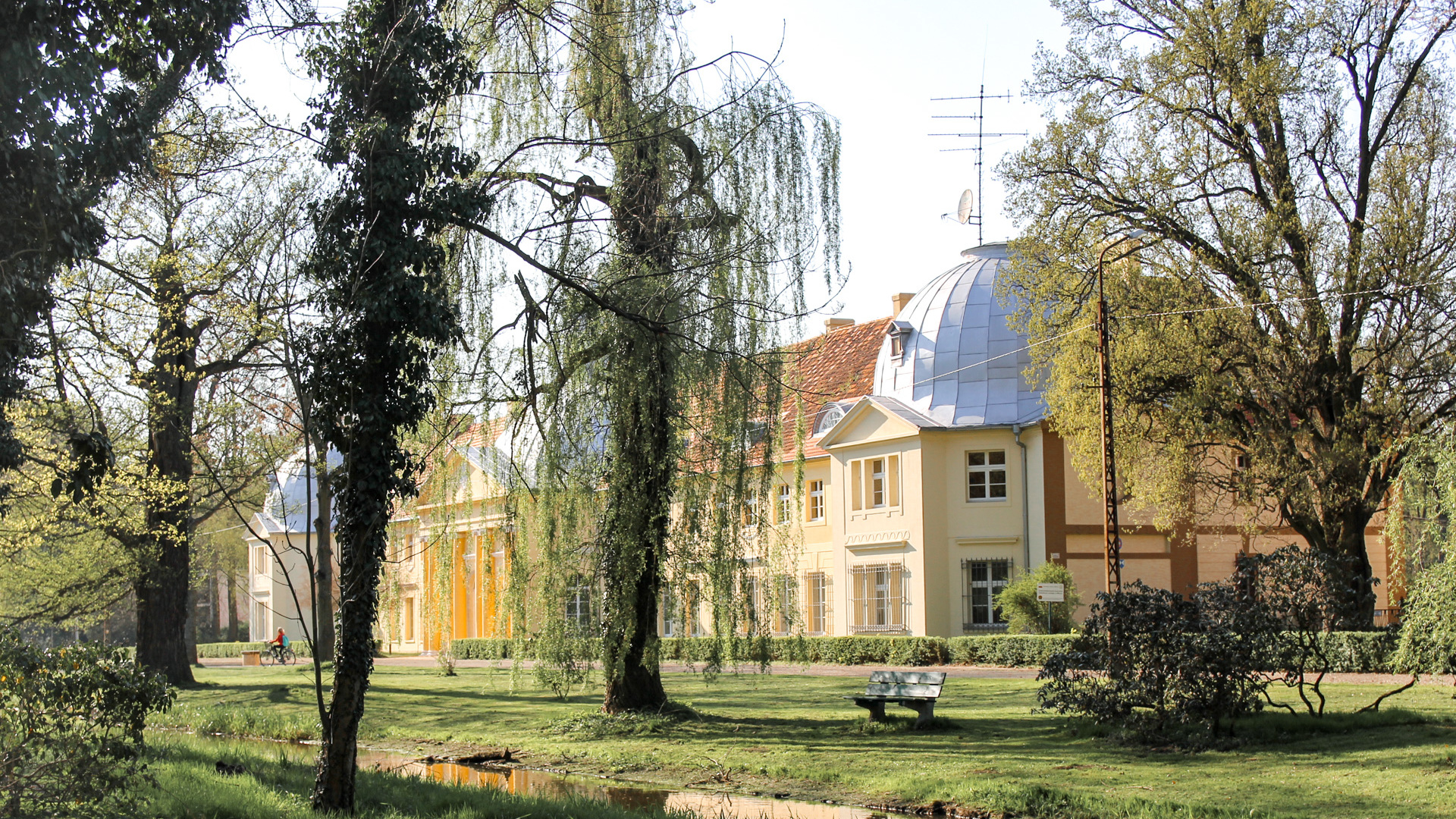Park przypałacowy w Miliczu z psem - dlaczego warto tu zajrzeć?
