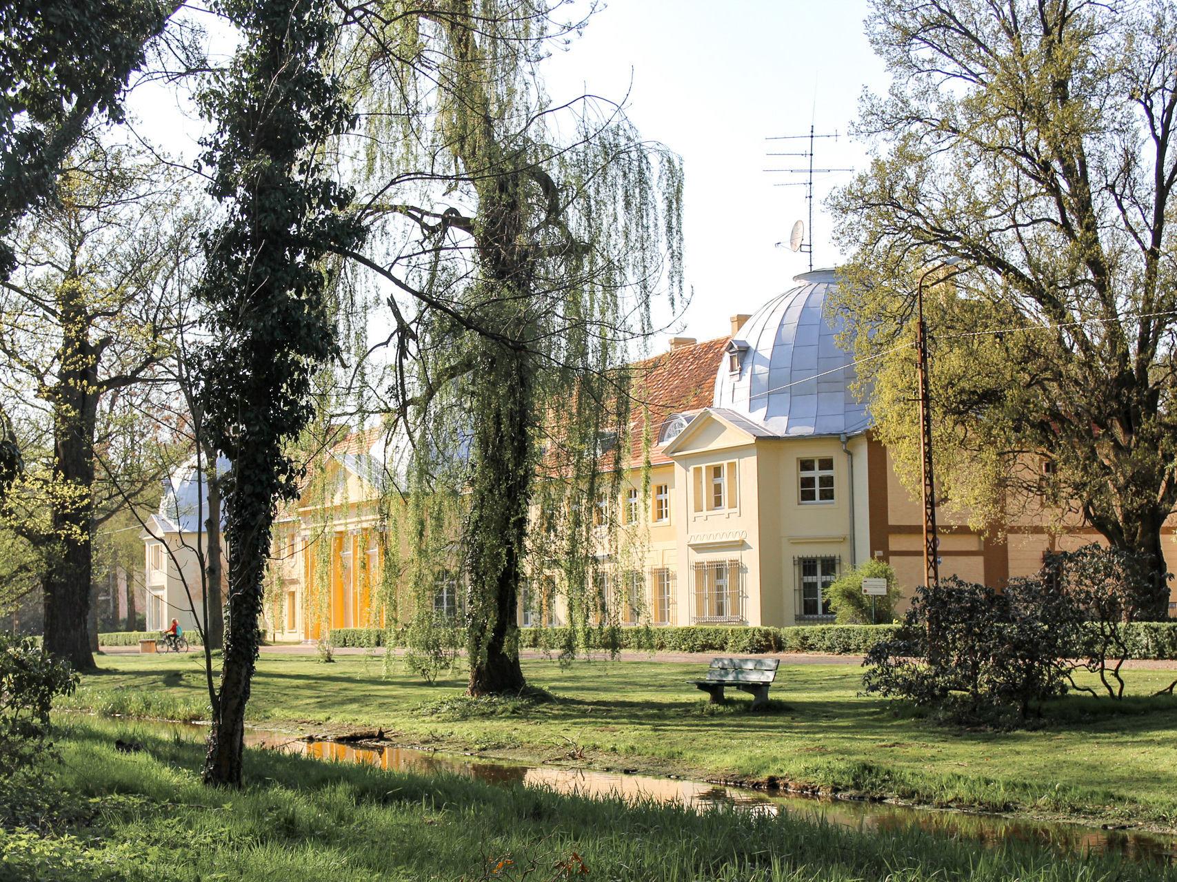 Park przypałacowy w Miliczu z psem - dlaczego warto tu zajrzeć?