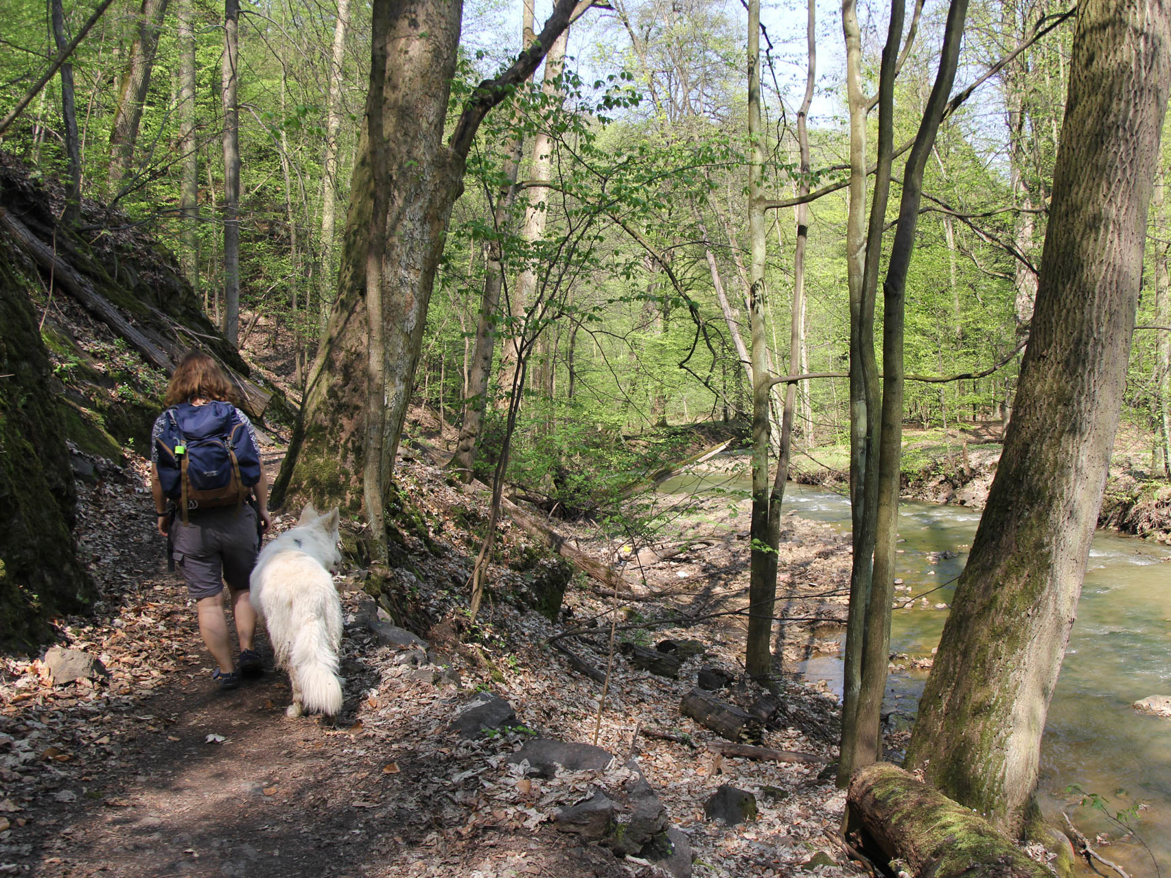 Wąwozem Pełcznicy ze starego do nowego zamku Książ