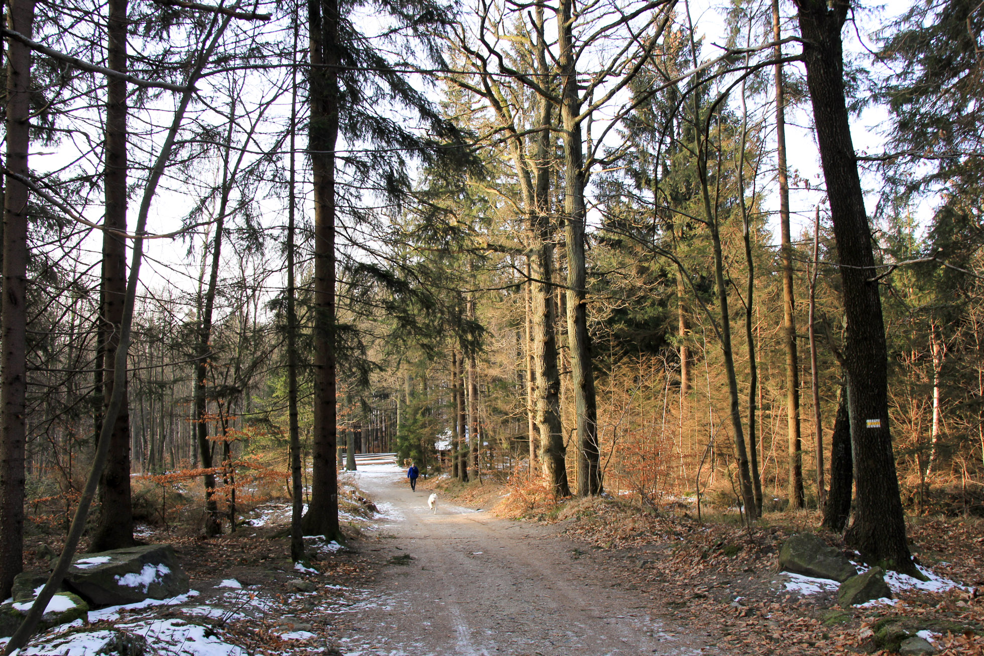 żółty szlak na Ślężę o poranku