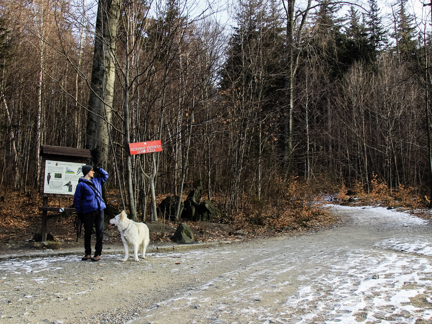 Ślęża - granica rezerwatu i początek ścieżki pod skałami