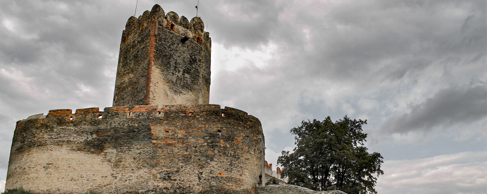 Pies Heban zdobywa zamek w Bolkowie