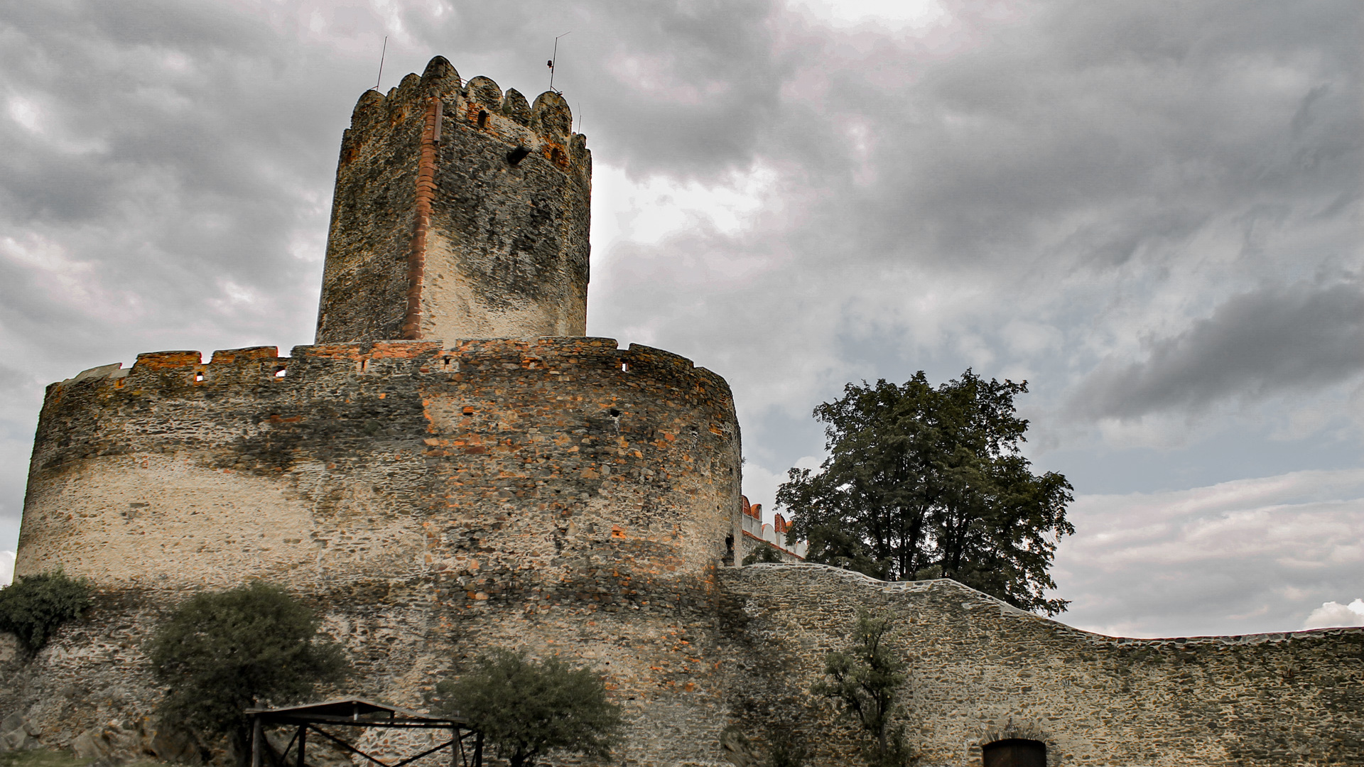 Pies Heban zdobywa zamek w Bolkowie