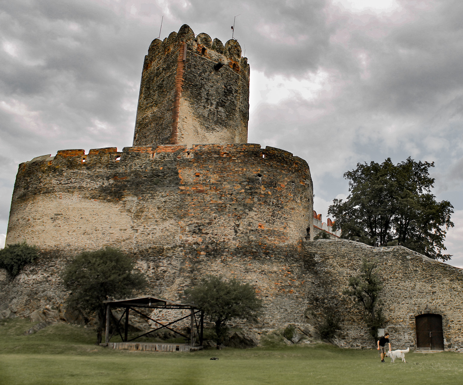 Pies Heban zdobywa zamek w Bolkowie